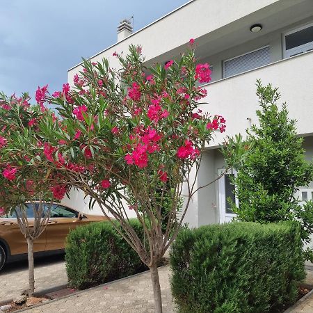Apartmani Jozic Селине Екстер'єр фото